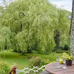 Willow * Spark Bridge