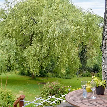 Willow * Spark Bridge